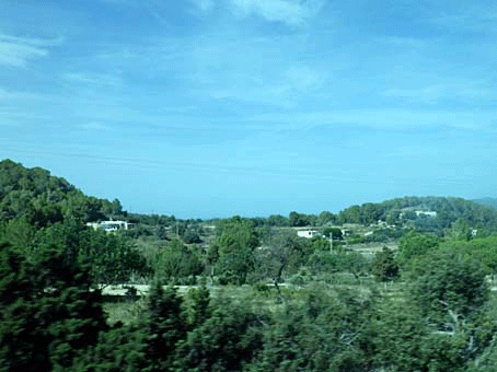 RIMG0228_8.gif